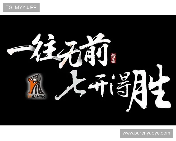 Natus Vincere绝地求生战队崛起之路：从草根到顶级战队的蜕变与荣耀