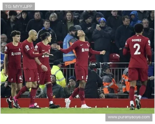 埃弗顿与利物浦激战在即球迷欢呼预测精彩对决盛况